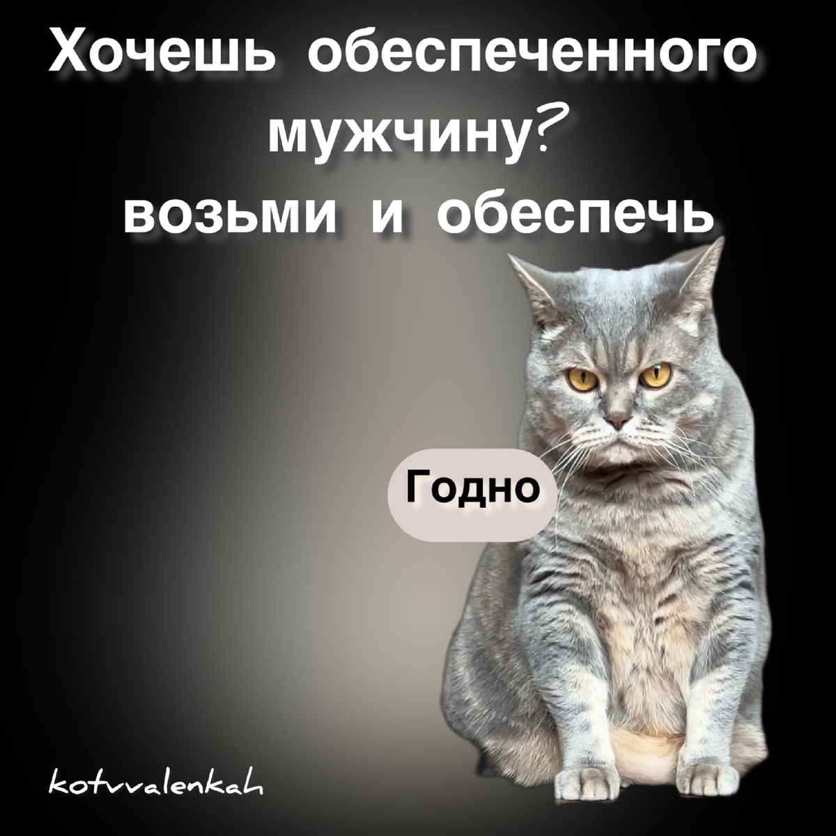 Суббота МЕМОВ начинается в пятницу 🌸 | Кот в валенках Марсель | Дзен