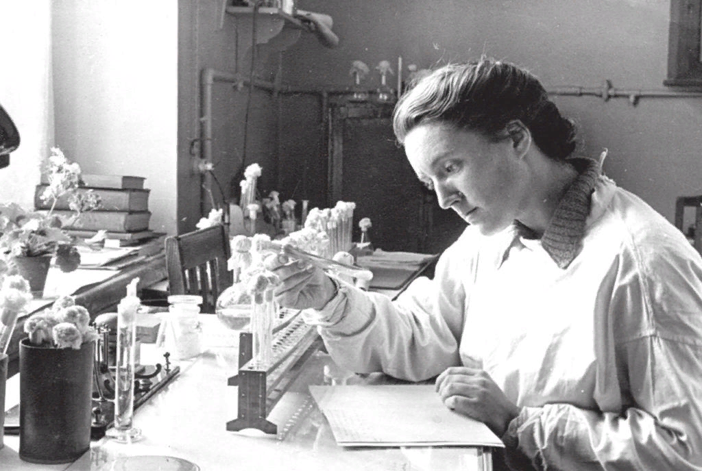 Мария Георгиевна Бражникова (1913 — 1998) — советский микробиолог, один из изобретателей грамицидина.