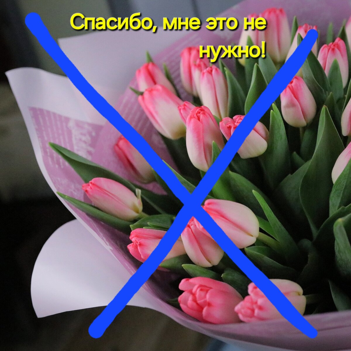 Не тратьте денег на веники!