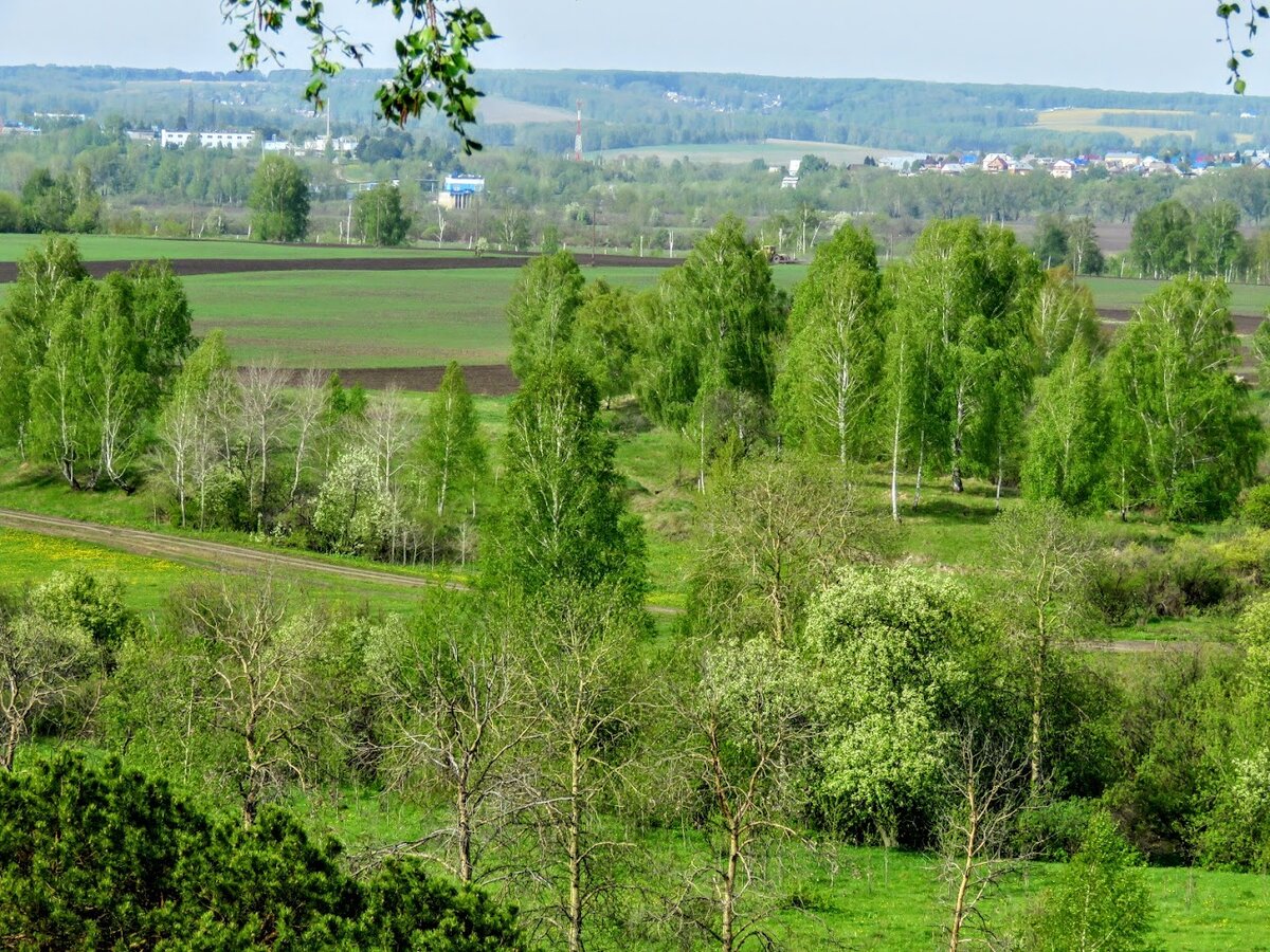 Лысая гора кемерово. Гора двуглавая кузнецкий алатау. Сибирский политехнический техникум кемерово. Ресторан гора кемерово. Кемерово горы.