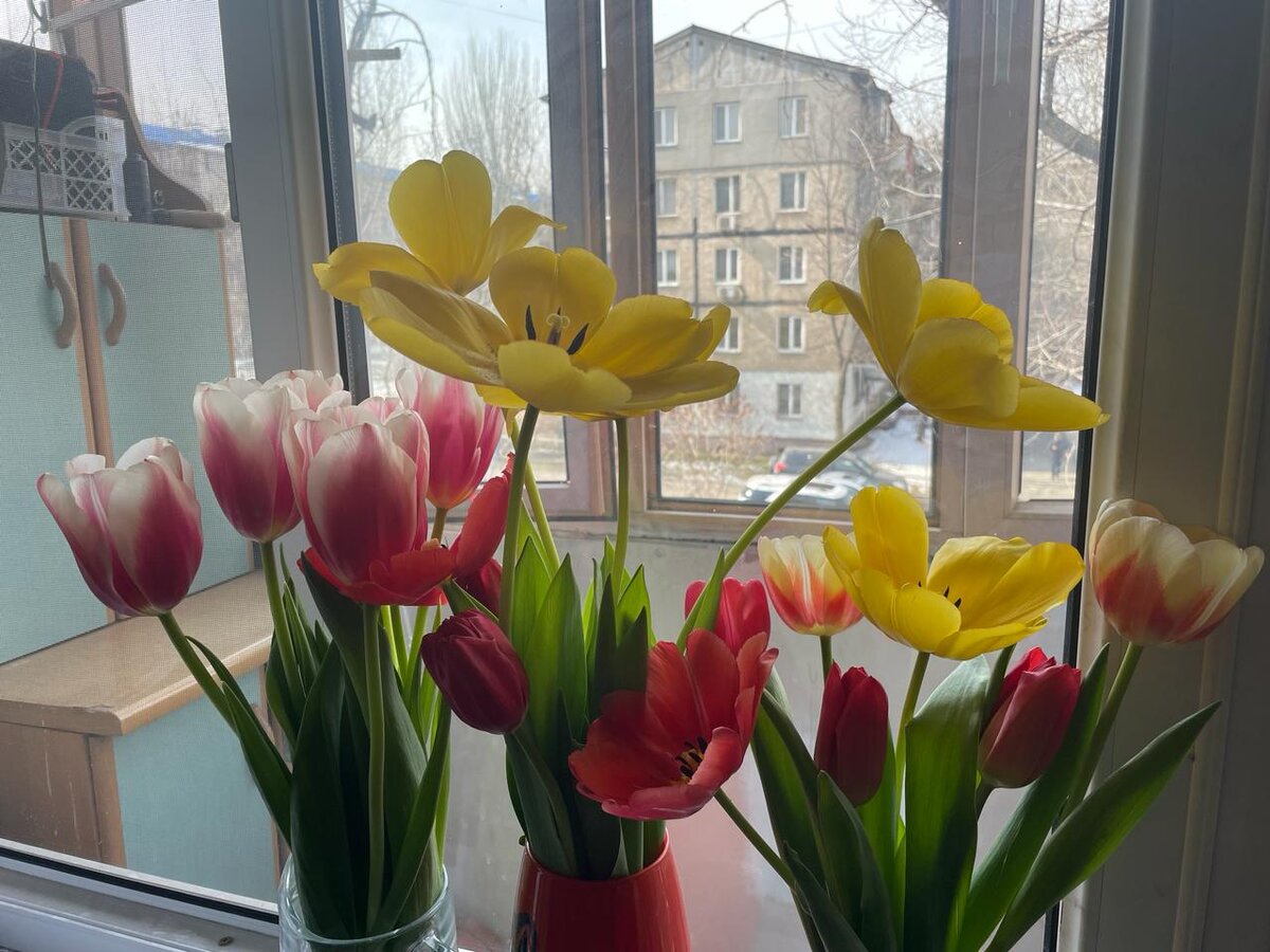 вот эти желтые тоже вчера как распахнулись, потом закрылись, а сегодня опять) Прикол)