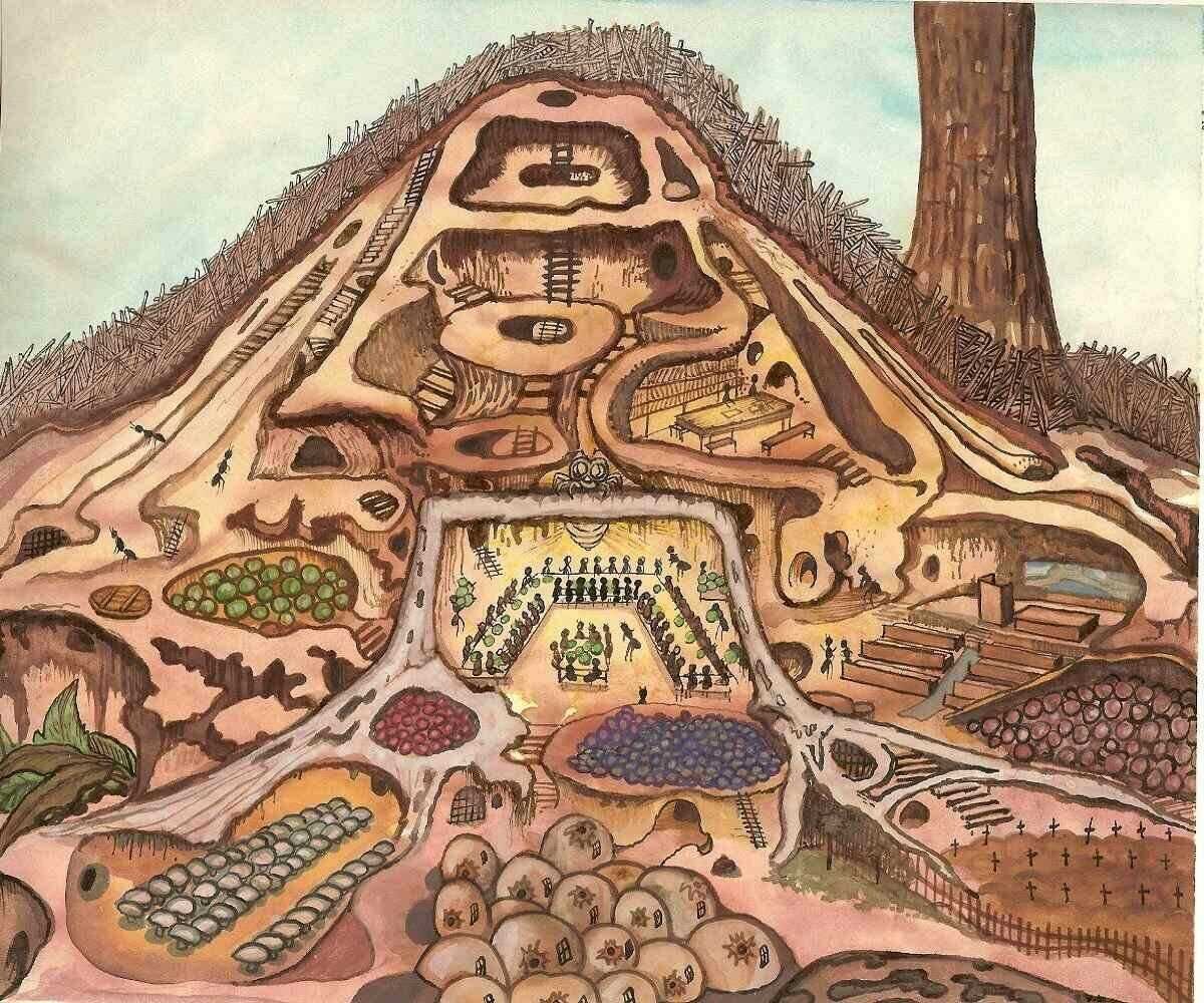 Организация муравейника под землей. Фото из интернета