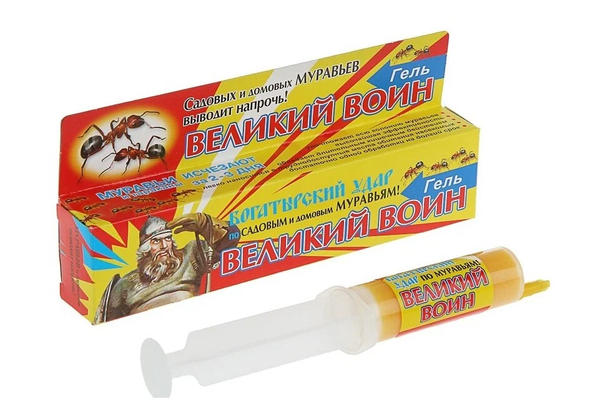 Фото из интернета.