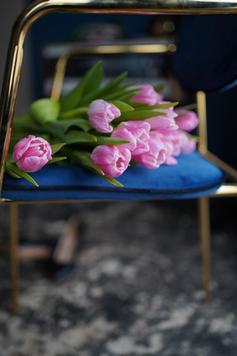 Фотограф Ширяева Виктория 