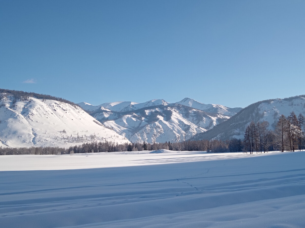 Одно из первых фото, сделанных на маршруте первого дня гонки Winter Altai Ultra-Trail, когда был крепкий мороз.