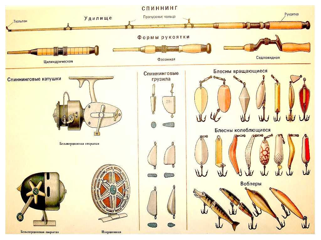 Фото с сайта: https://i.pinimg.com/originals/8d/f0/77/8df0771eb10684f748b9fd674918857a.jpg