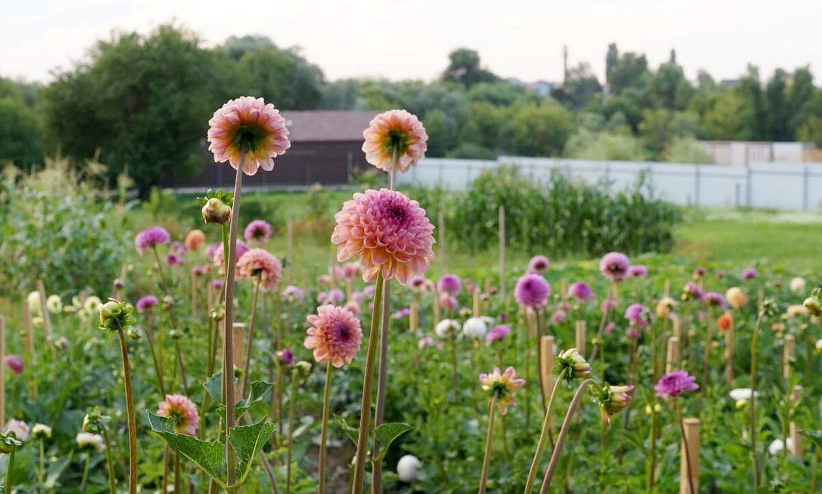      Фото: из личного архива Марины Мозговой