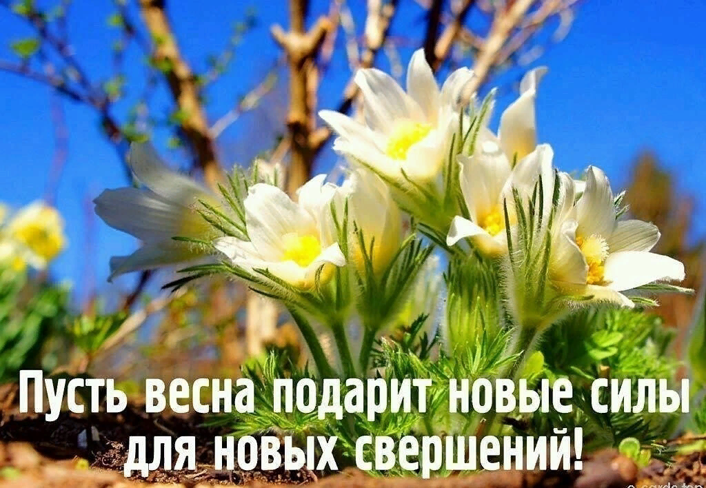 (Фото  инет)