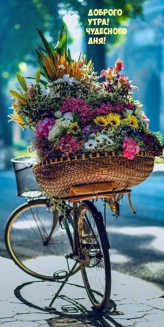 Всем доброе утро!
Дорогие, милые и прекрасные женщины!
Поздравляю вас  8 марта! Пусть этот прекрасный  праздник принесёт множество позитивных эмоций, подарит самые красивые впечатления, самые приятные слова. Будьте здоровы, счастливы, любимы и незаменимы! Пусть весна согревает вас своим теплом, а весенний ветерок пусть принесёт только хорошие перемены. Оставайтесь такими же обоятельными и привлекательными...🌷🌷🌷🎈🎈🎈😘😘😘 Мирного неба над головой нам всем 🫡