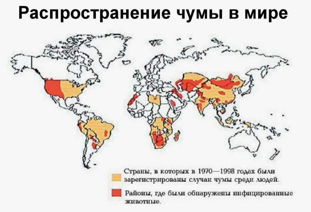 Карта распространения чумы. Природные очаги чумы.