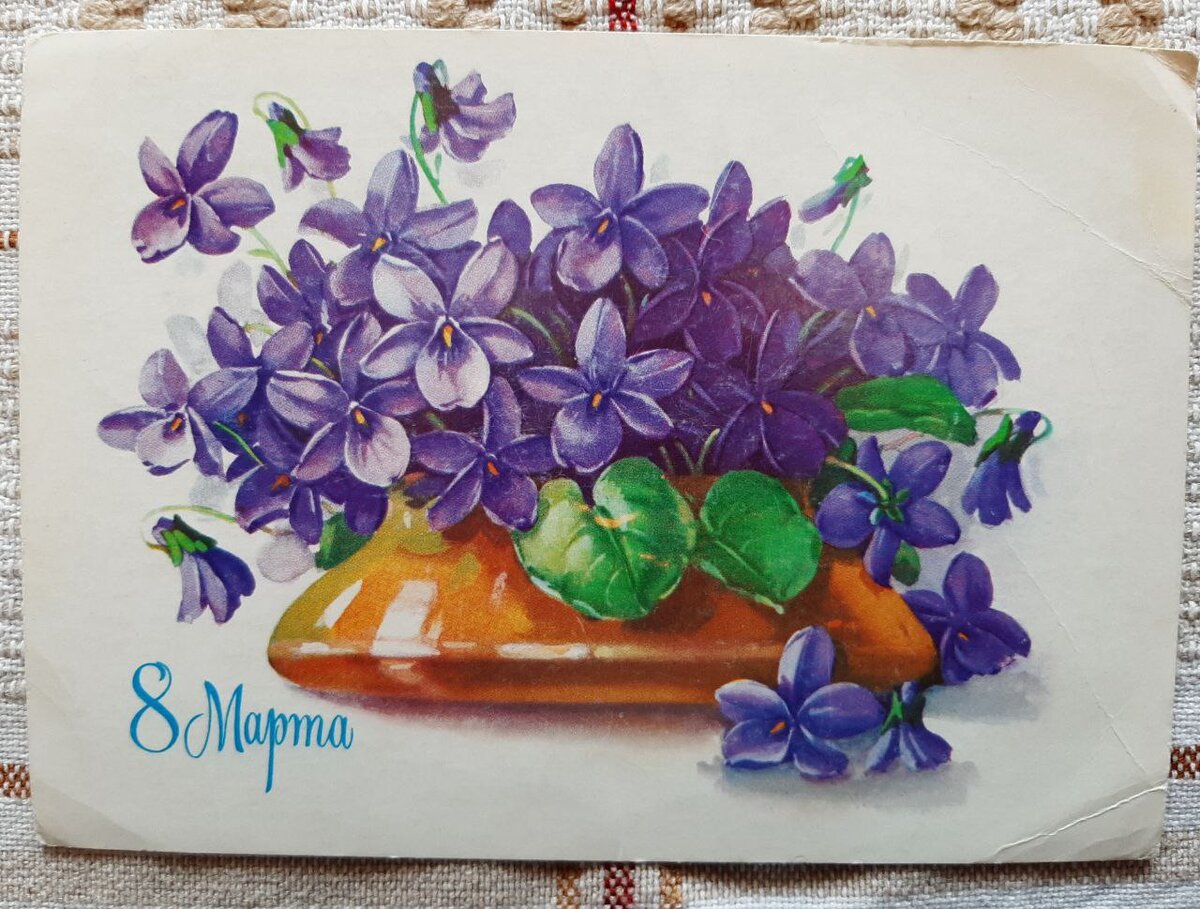 Открытка с фиалками