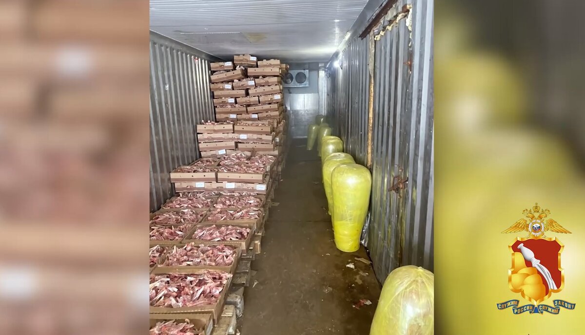 Кадр видео УМВД России по Воронежской области