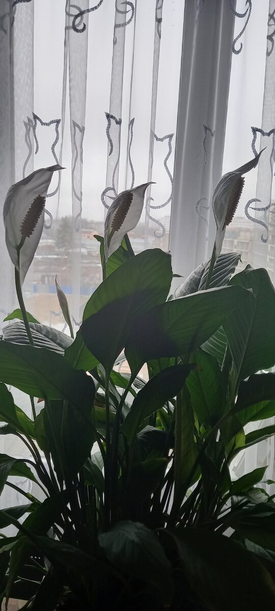 Эта картина называется "Попутного ветра во все паруса")