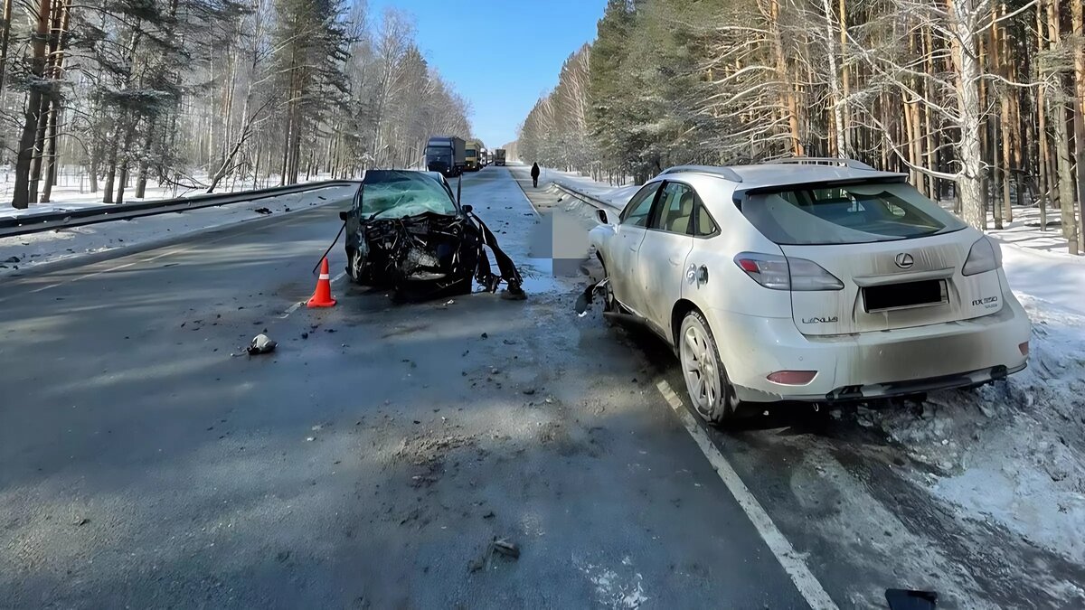 В Болотнинском районе произошло смертельное ДТП | Atas.info | Дзен