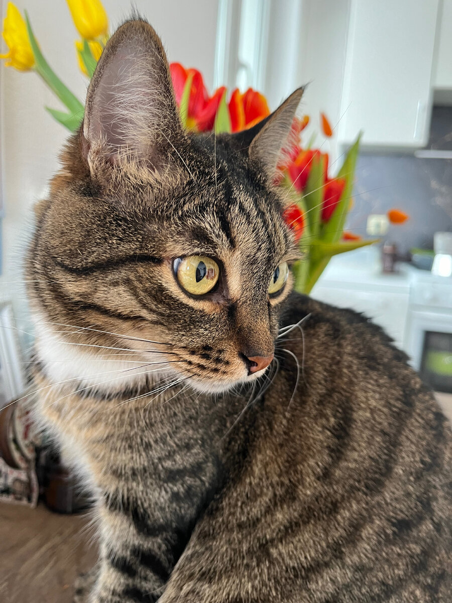 Фото автора. 