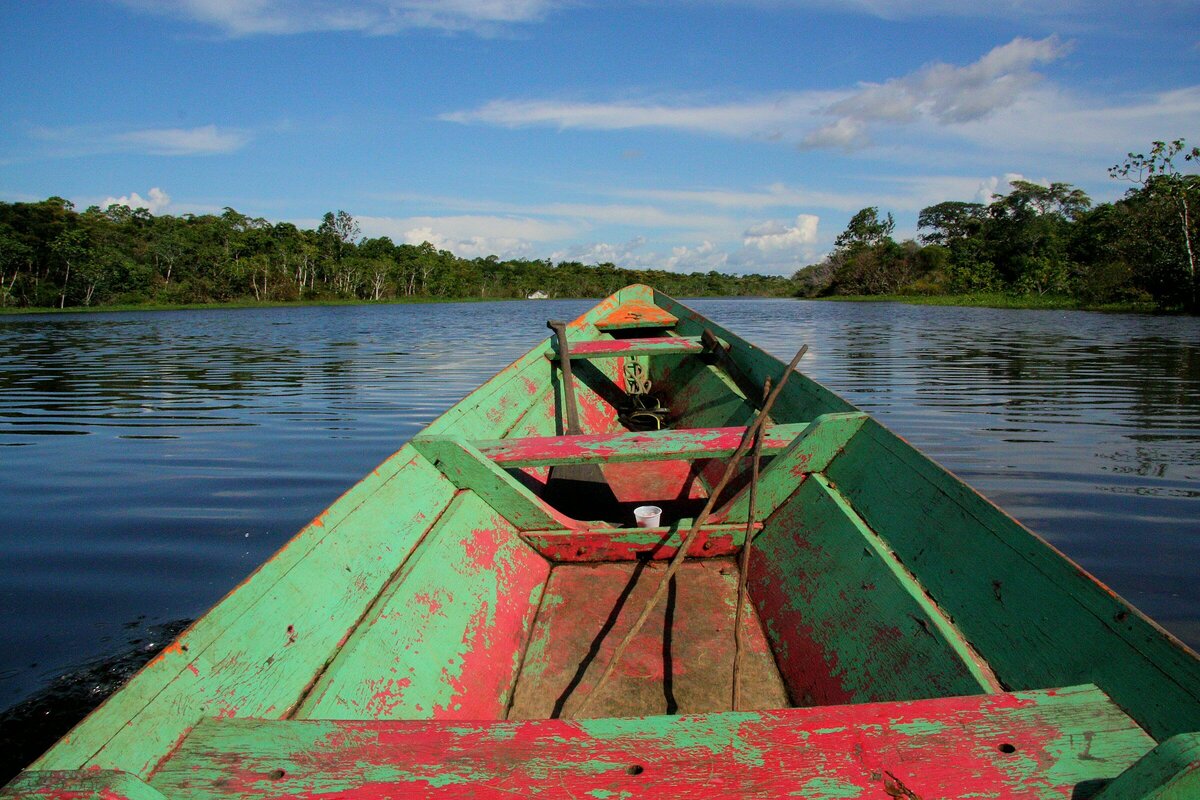 Амазонка — не только самая длинная река в Южной Америке, но и самая широкая река в мире. Фото: Nareeta Martin / Unsplash