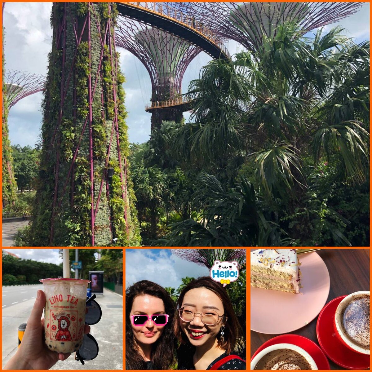 Наши сингапурские радости