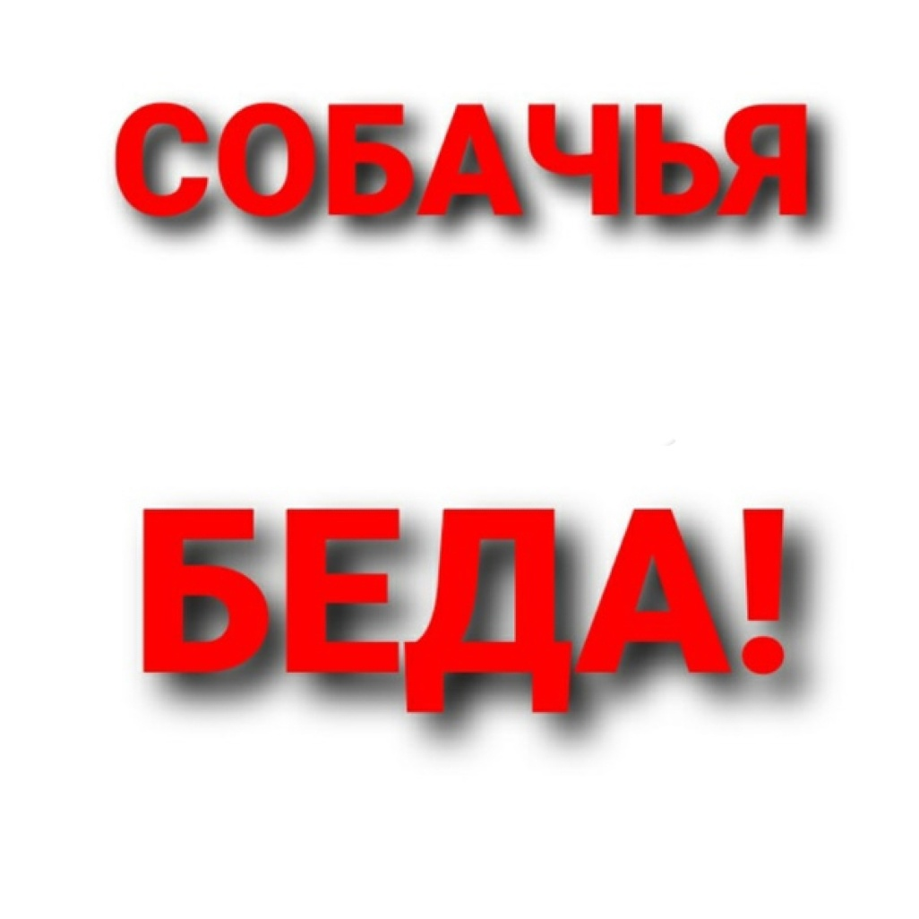 Нужна помощь картинка с надписью