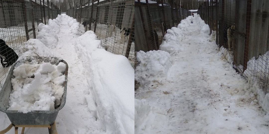 «И мы с девочками поехали спасать»: истории о женщинах-волонтерах, которым не все равно