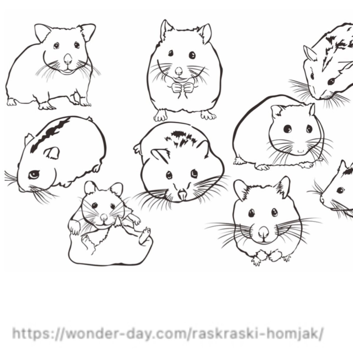 Семейство хомяков из раскрасок для детей и взрослых. Картинку можно распечатать бесплатно (здесь ключевое слово «бесплатно»!)
Источник фото сайт https://wonder-day.com/raskraski-homjak/