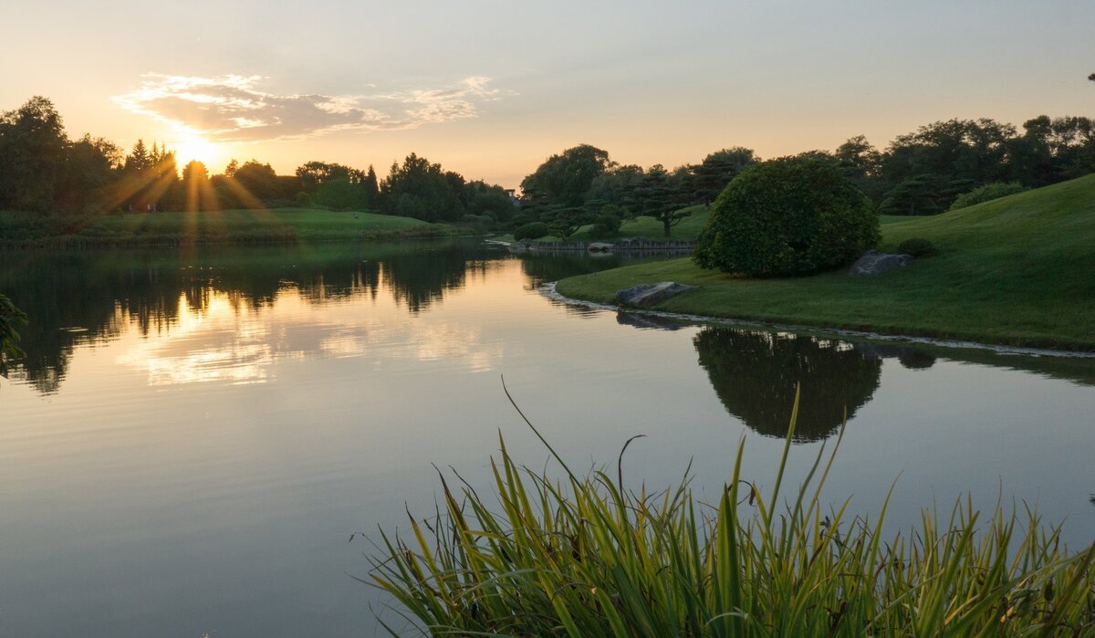 Пруд или озеро: в чем разница?