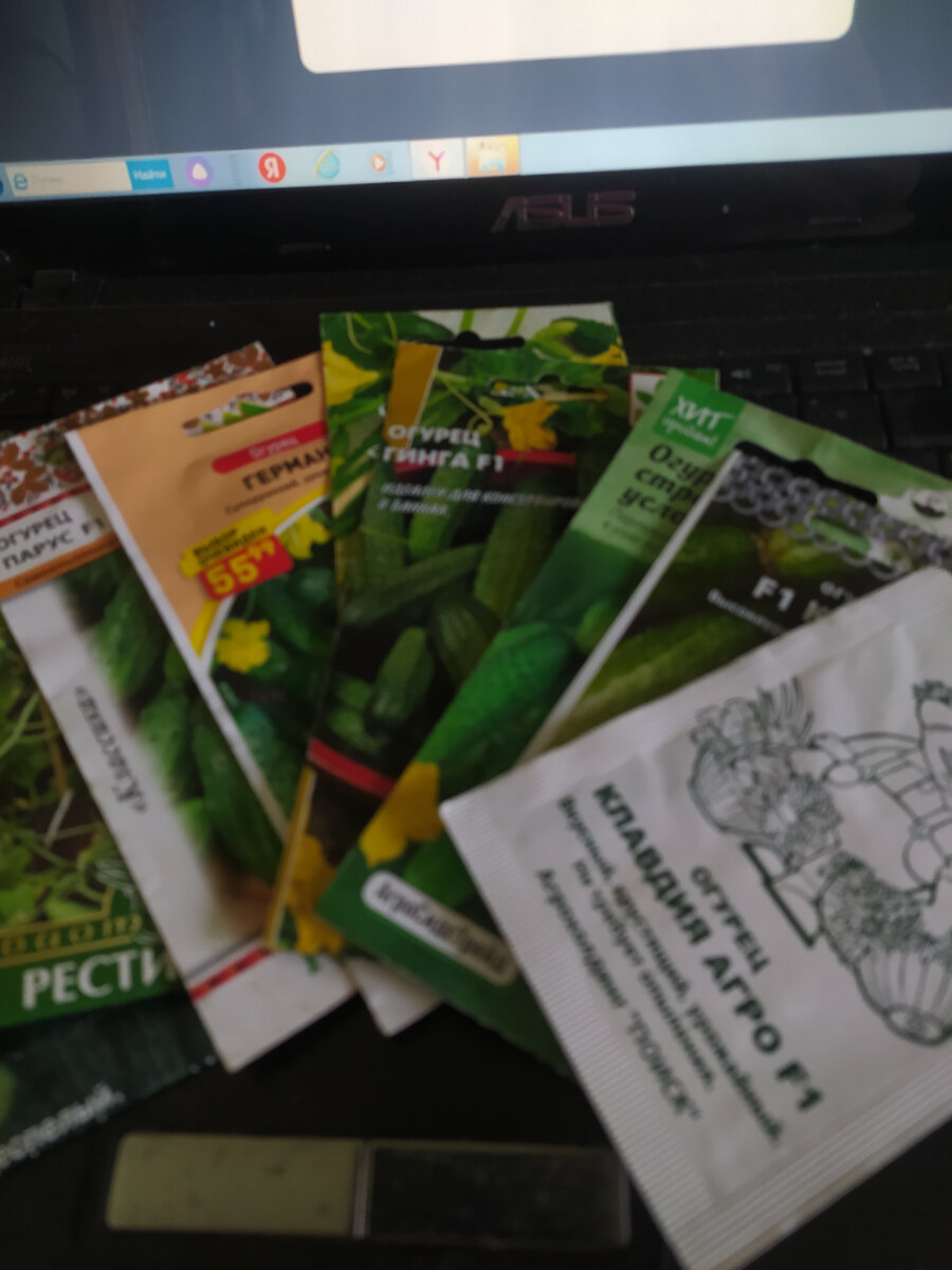 Огуречное разнообразие.