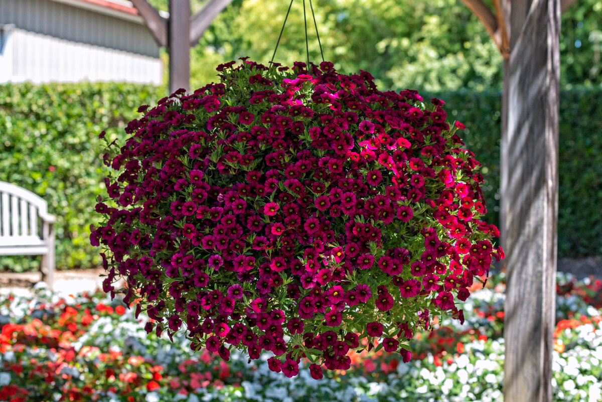 Вот он - предел мечтаний! Хочу!!!