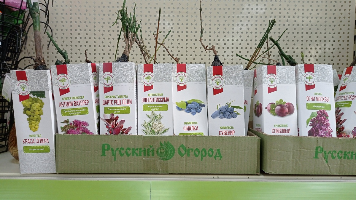 Ассортимент Фикспрайса