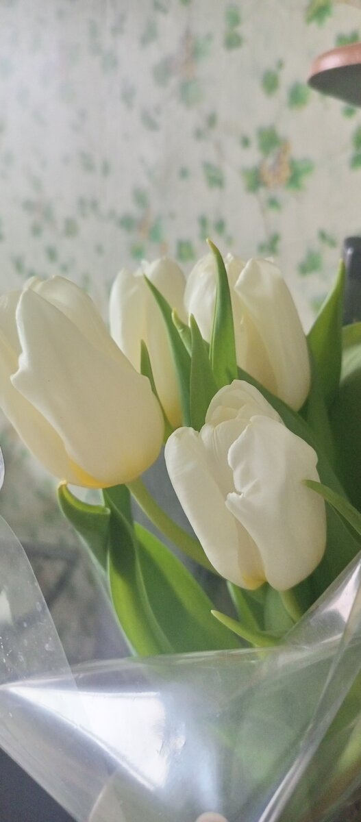 На работе подарили на 8 марта