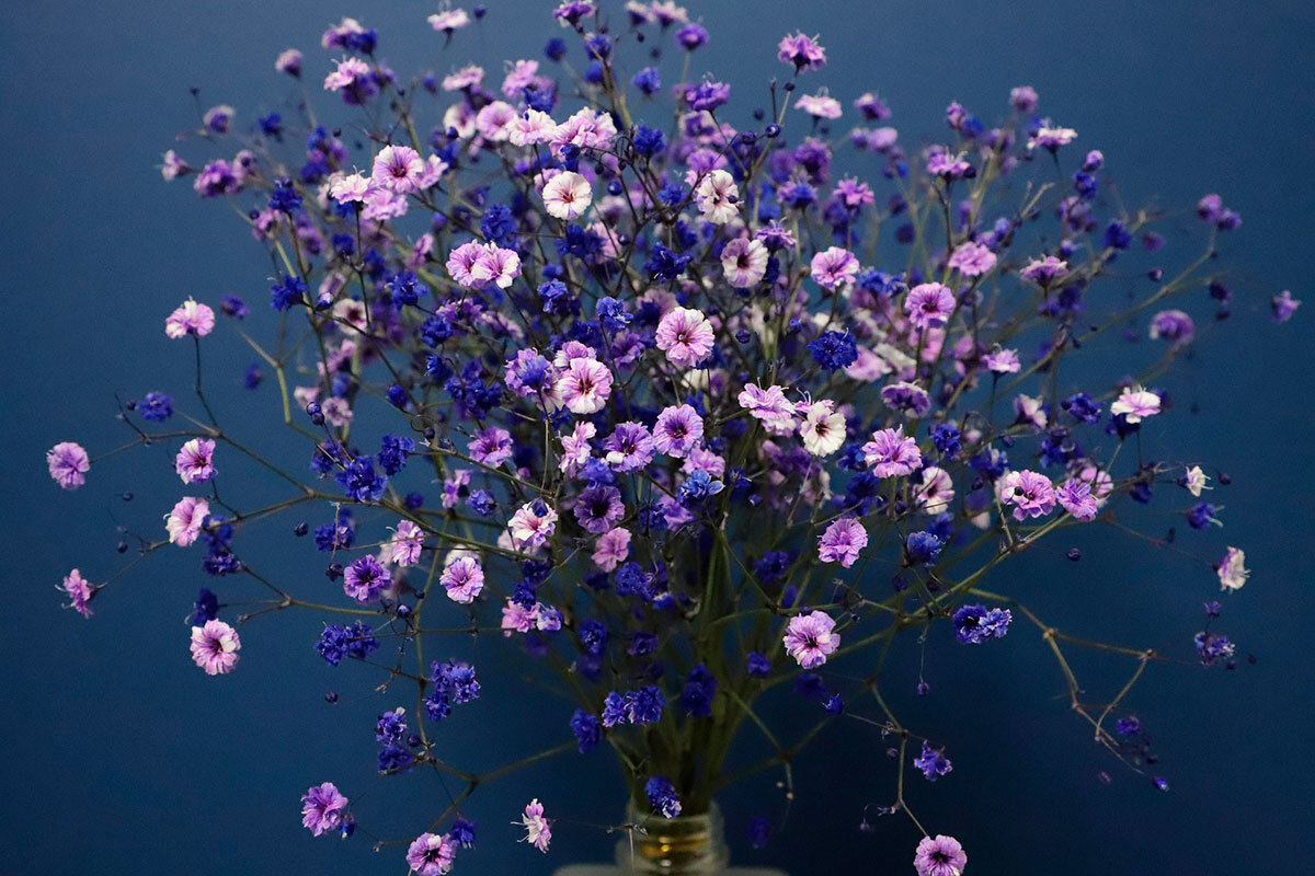    Фото: mono36903690 / Pixabay.com