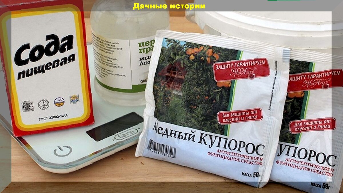 Сода в садово-огородных делах: для решения каких проблем можно использовать  соду на участке, а в каких случаях применять соду нельзя | Дачные истории |  Дзен