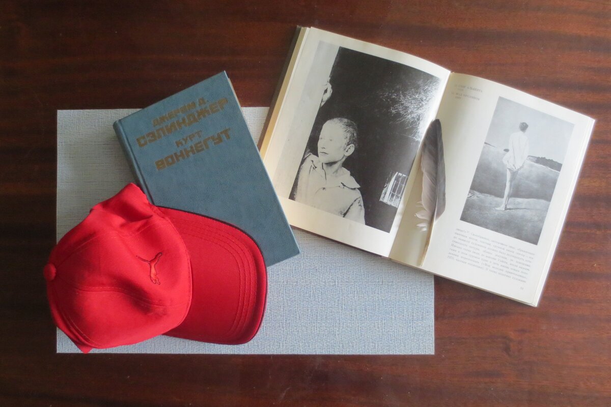 Органичный симбиоз произведений писателя и художника