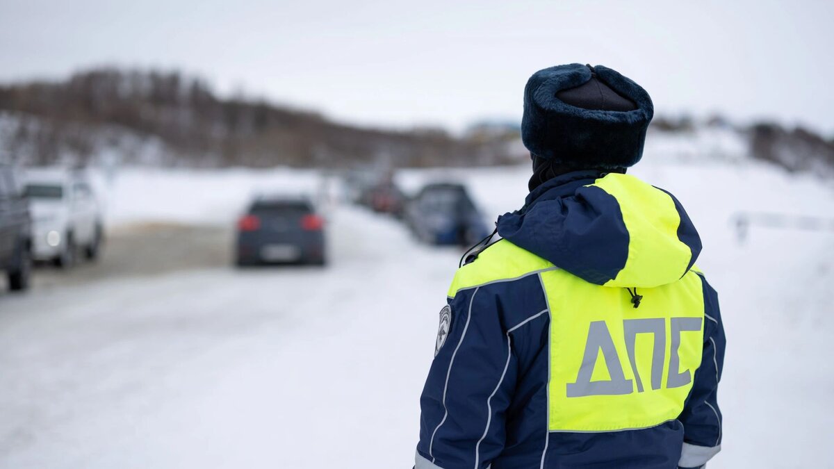 Власти Нового Уренгоя показали схему автодвижения в День оленевода | Время  Новостей | Дзен