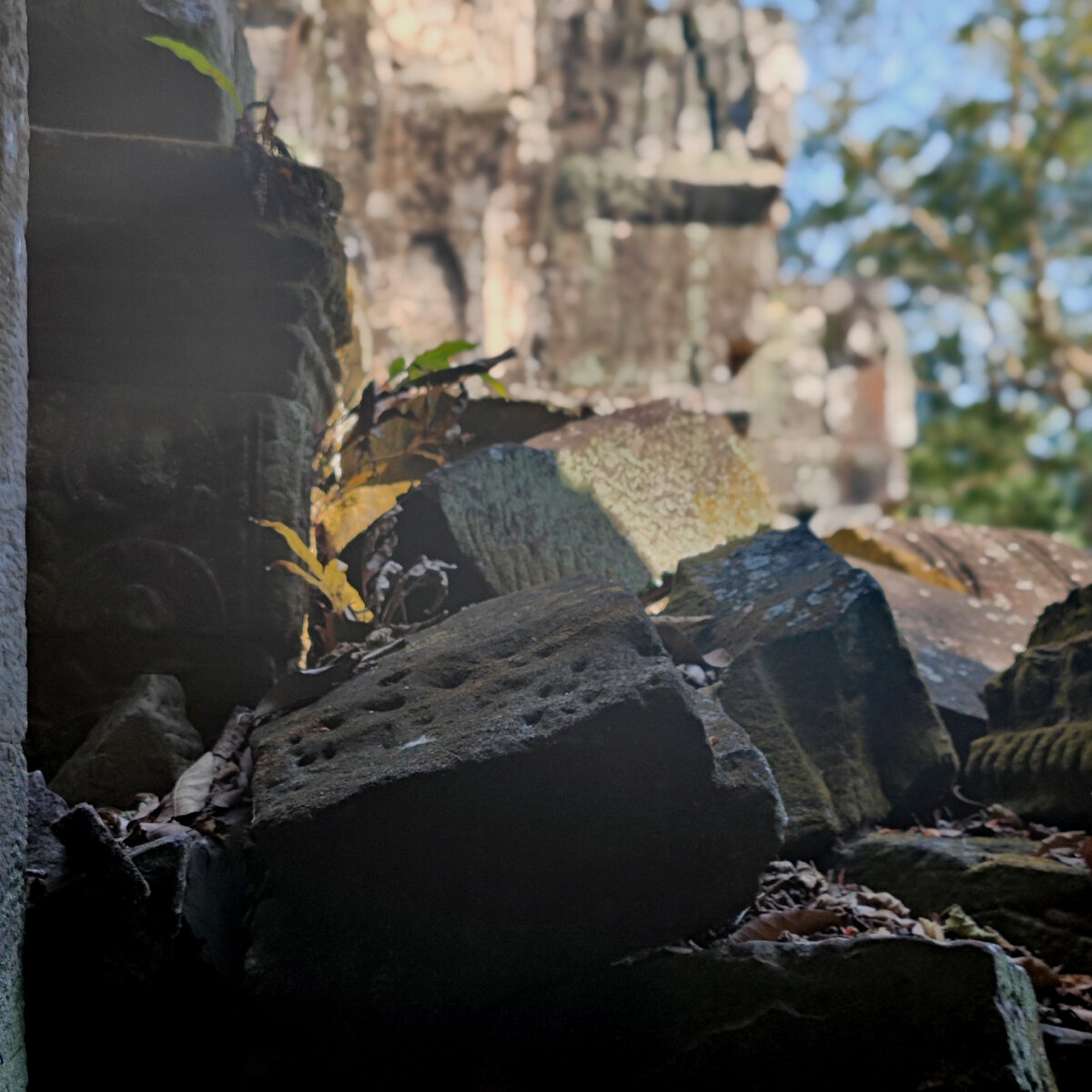 камбоджа тямы. какой язык в камбодже. камбоджа для россиян. камбоджа население языки. камбоджа язык.