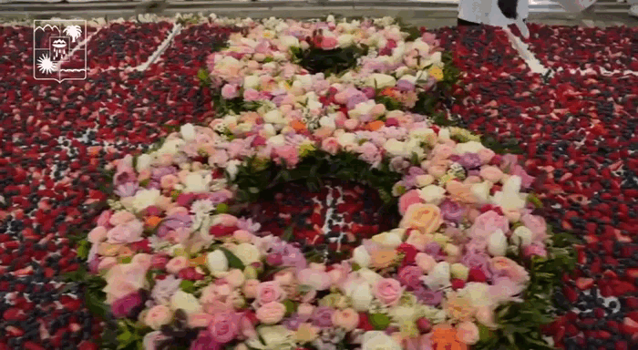 Видео: мэрия Сочи