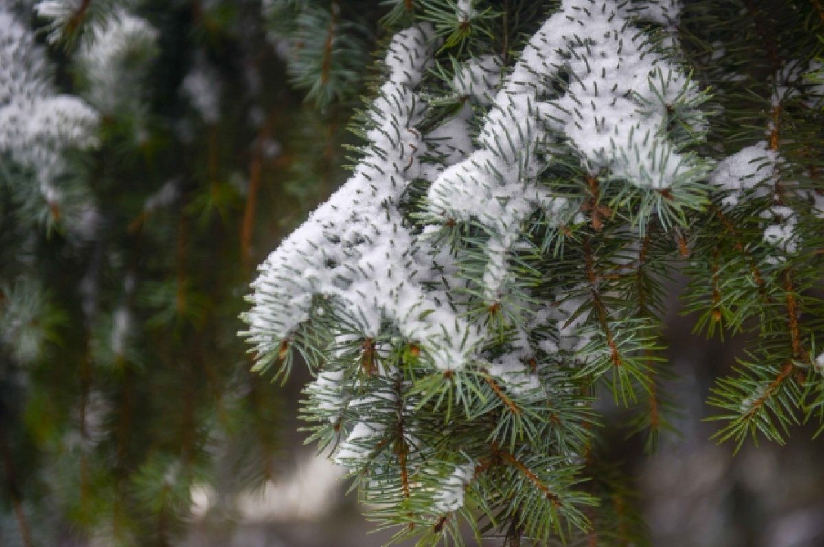    В Тульской области в ближайшие сутки ожидается снег и гололедица
