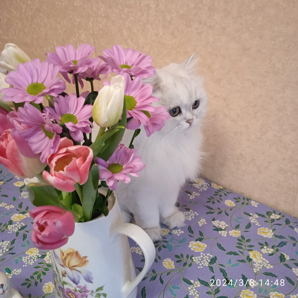 Джуля