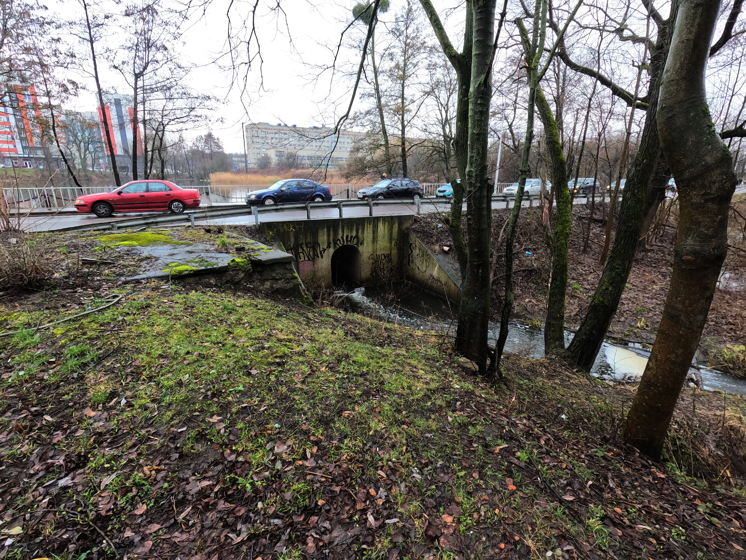 улица Инженерная в Калининграде