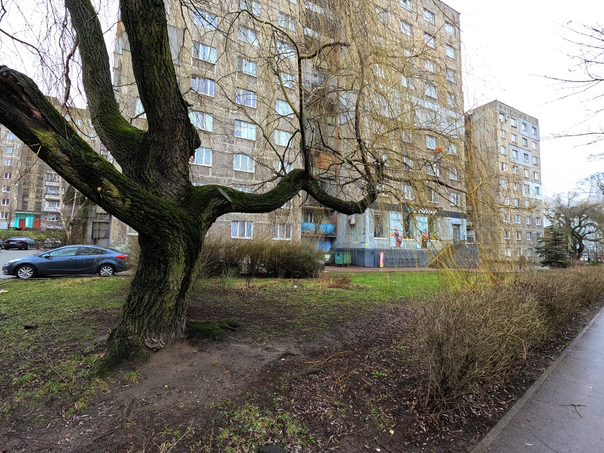 Балтрайон в Калининграде