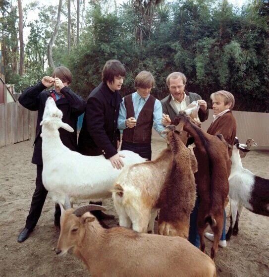 BEACH BOYS