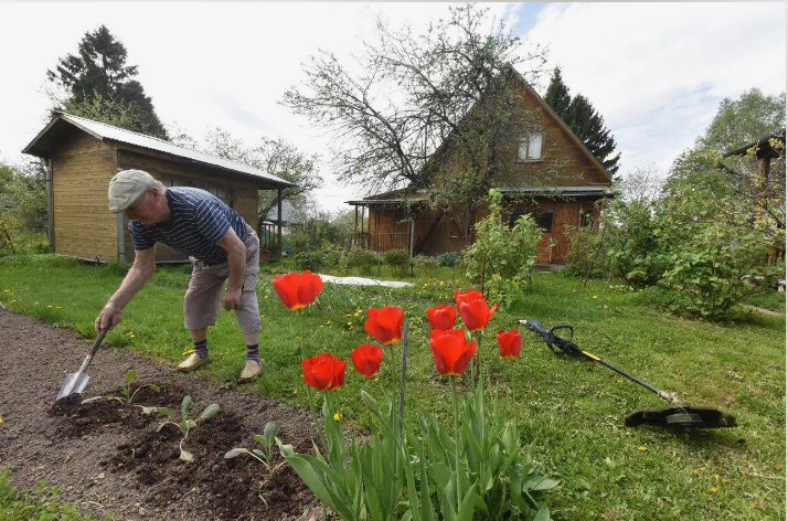 Садоводство что за болезнью. Противопожарные нормы расположения бани на участке. Пользование садовым участком. Земли для ведения садоводства и огородничества. Земля здоровье.
