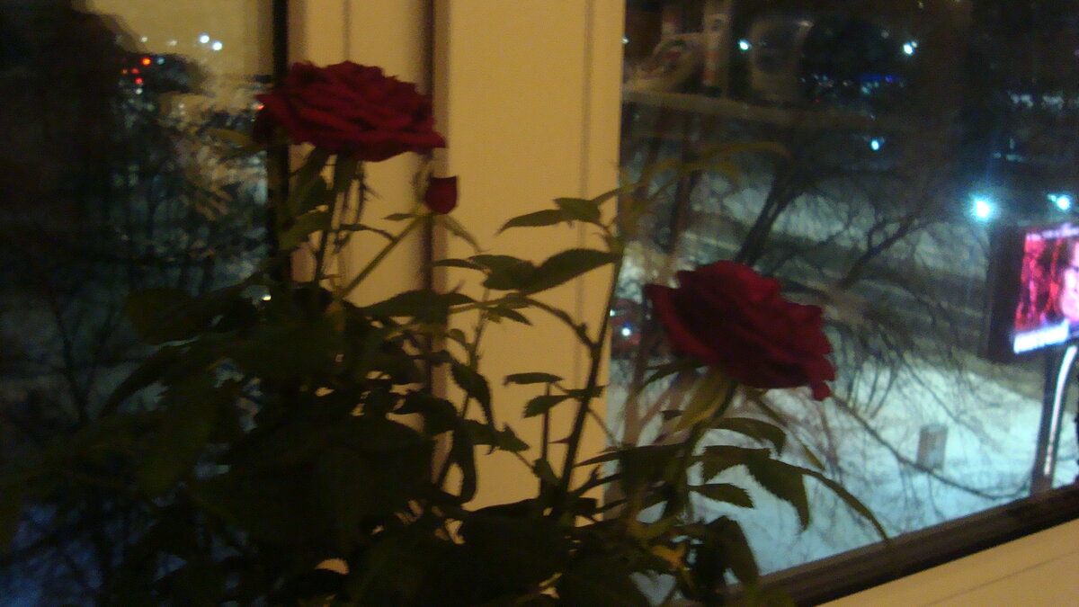 8 марта в Сибири