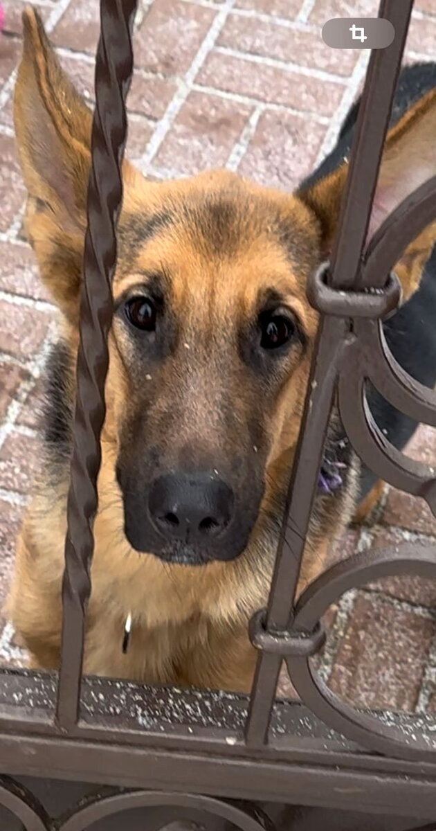 Начало истории...