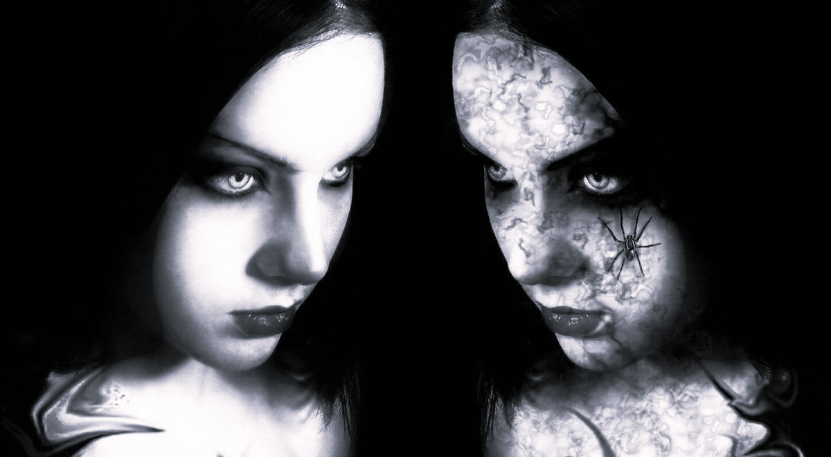 фото из интернета