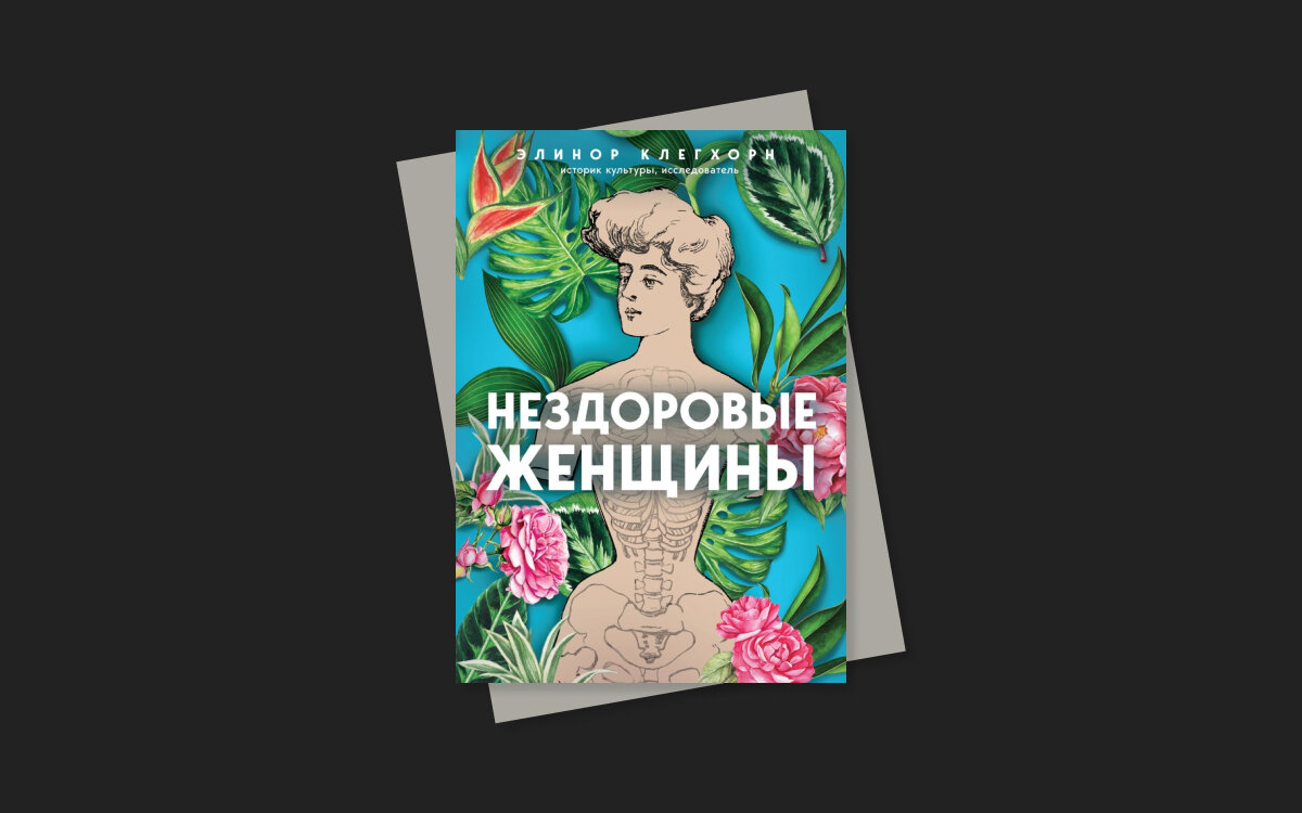    «Бомбора», РБК