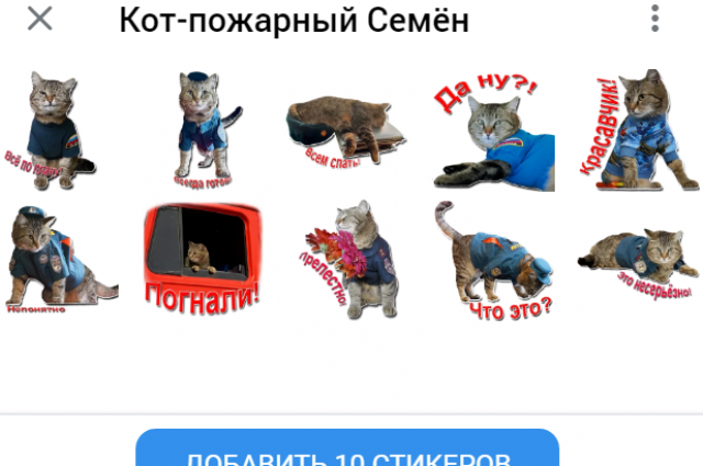    Стикеры с «пожарным»-котом Семеном от МЧС России. Фото: ГУ МЧС России/ @mchs_official