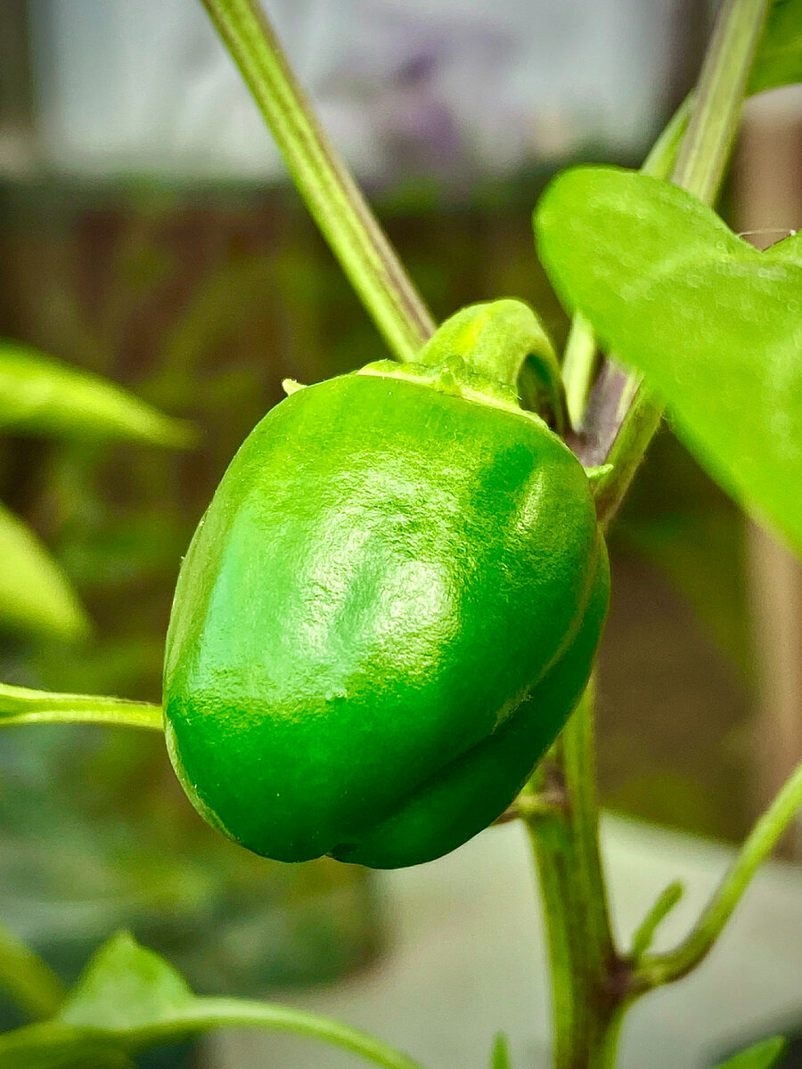 фото Alexander Legky/Global Look Press 