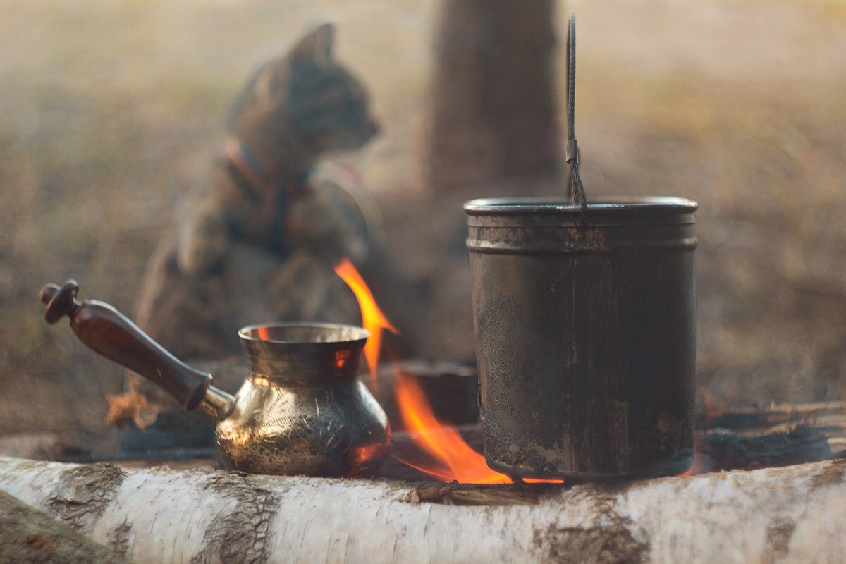 Костёр и кошка.