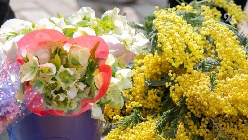      Фото: ИА «Победа26»