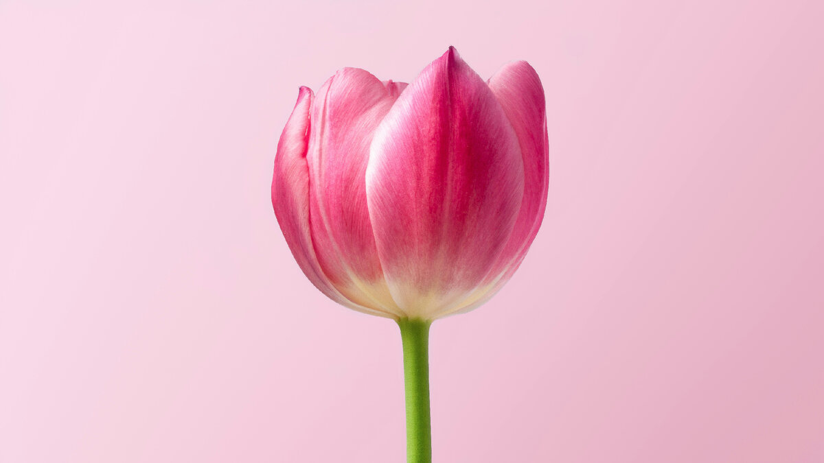 Фото: unsplash